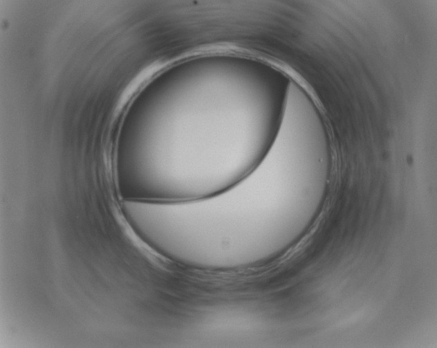 X0000075861054200610061932