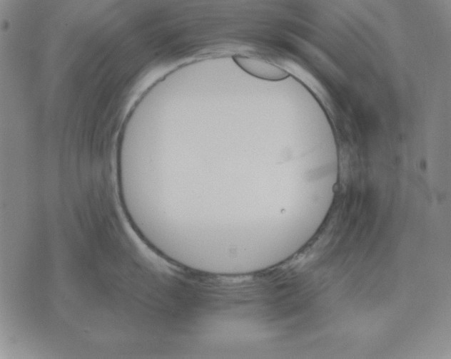 X0000075861055200610061932