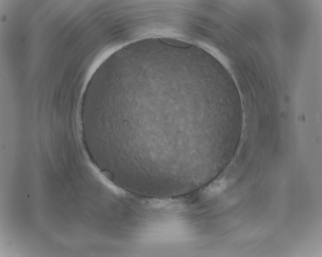 X0000075861056200610061932