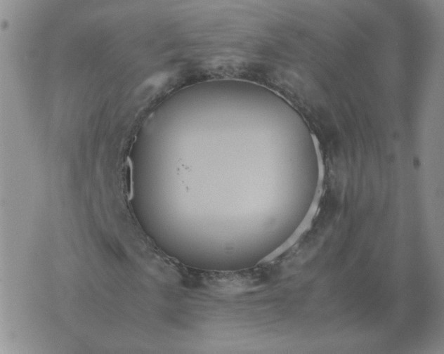 X0000075861057200610061932