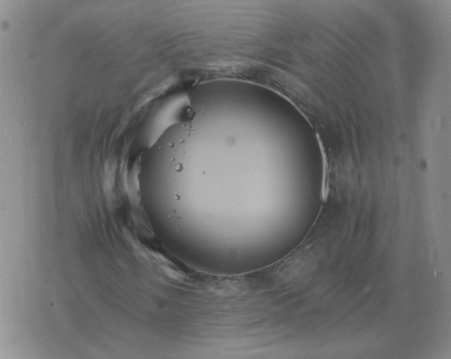 X0000075861058200610061931