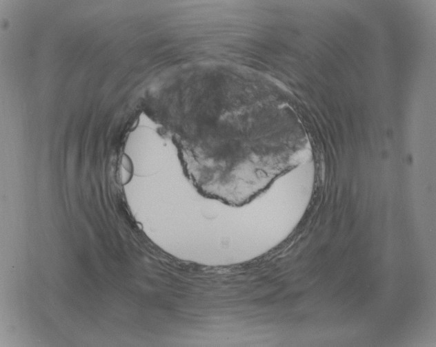 X0000075861059200610061931