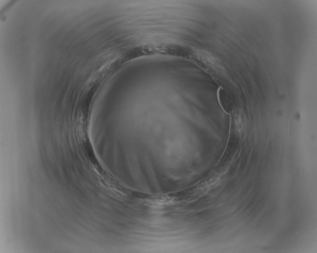 X0000075861060200610061931