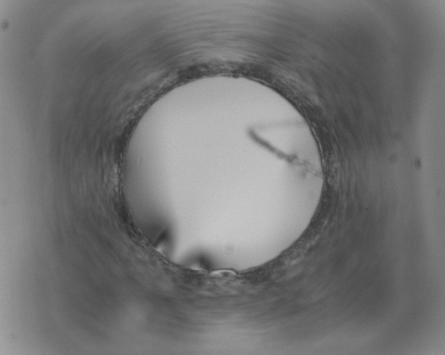 X0000075861061200610061931