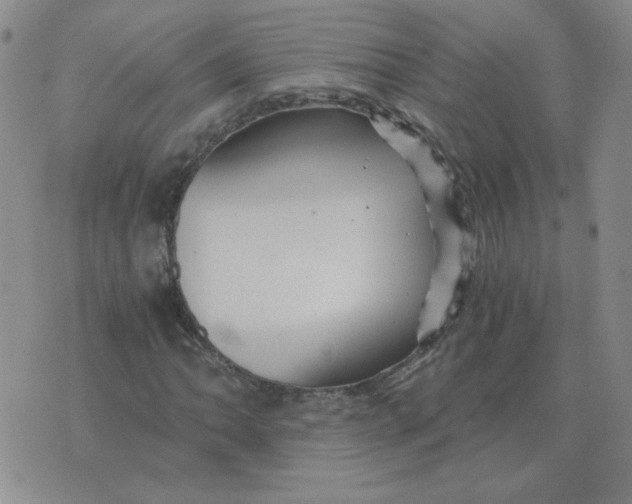 X0000075861062200610061931