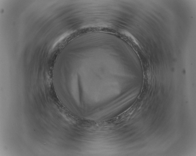 X0000075861064200610061931