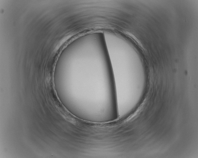 X0000075861065200610061931