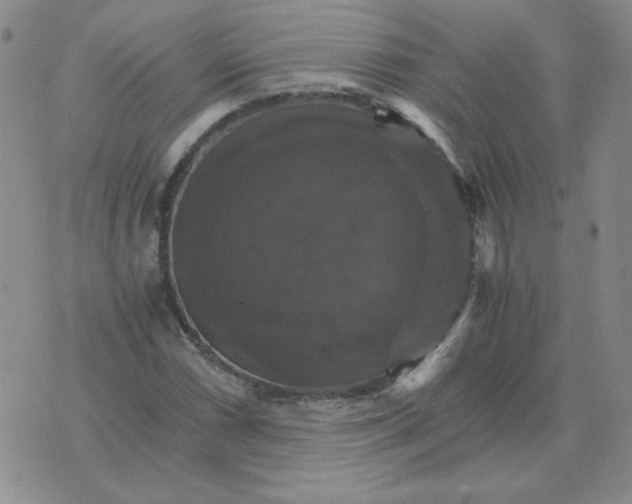 X0000075861066200610061931