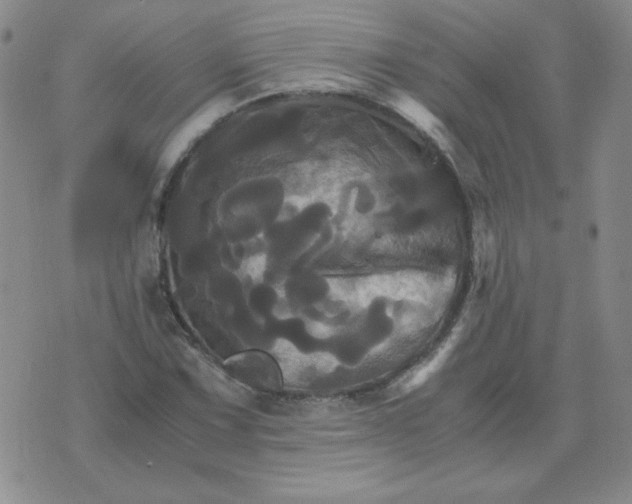 X0000075861067200610061931