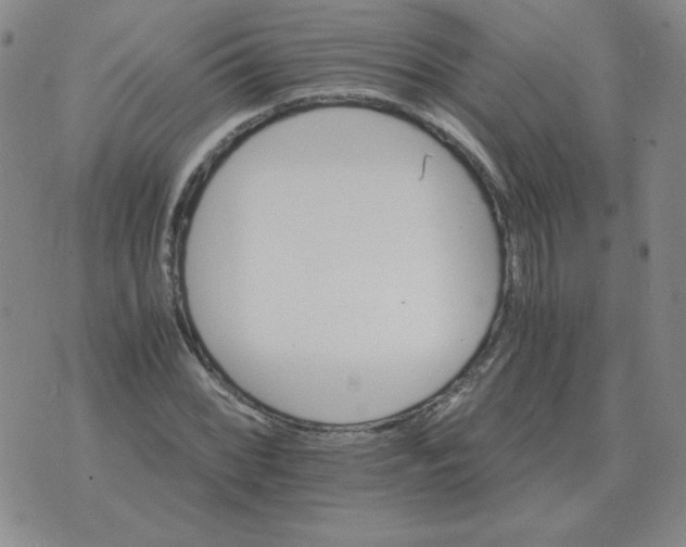 X0000075861068200610061931