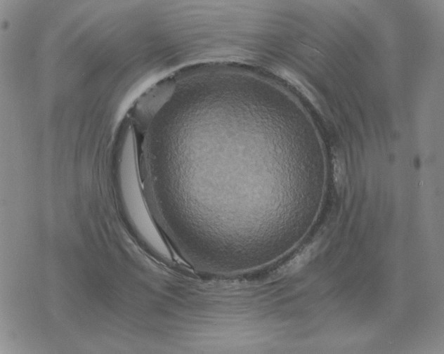 X0000075861069200610061931