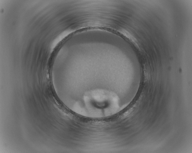 X0000075861070200610061931