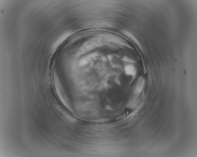 X0000075861071200610061931