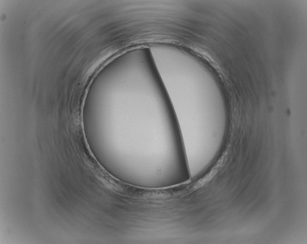 X0000075861073200610061931