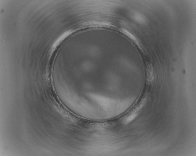 X0000075861074200610061931