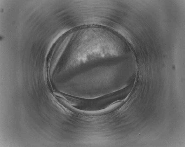 X0000075861076200610061931