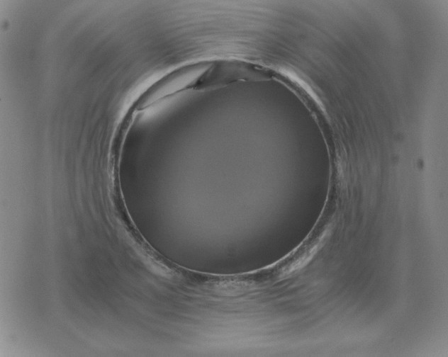 X0000075861077200610061931