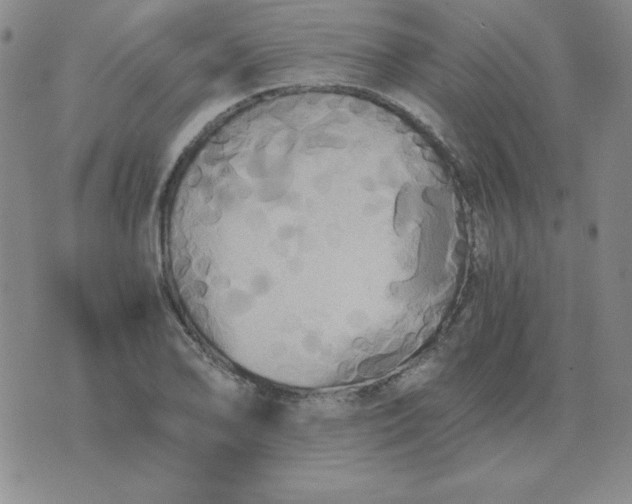 X0000075861078200610061931