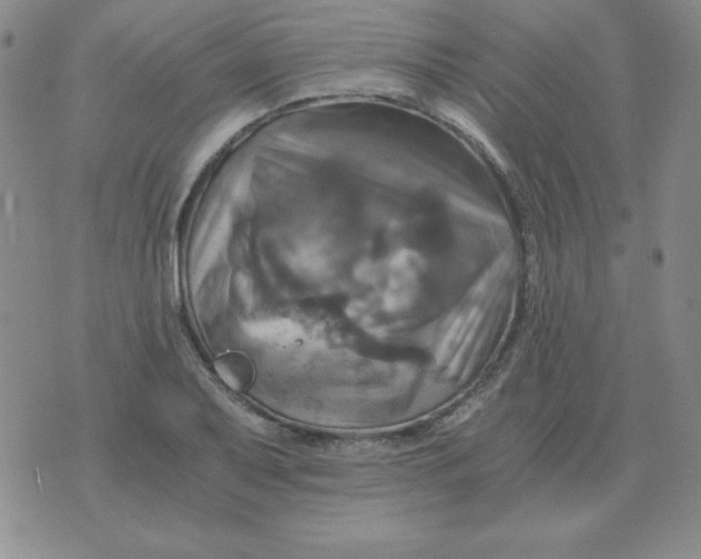 X0000075861079200610061931