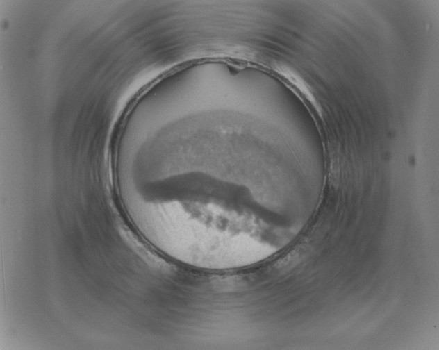 X0000075861080200610061931