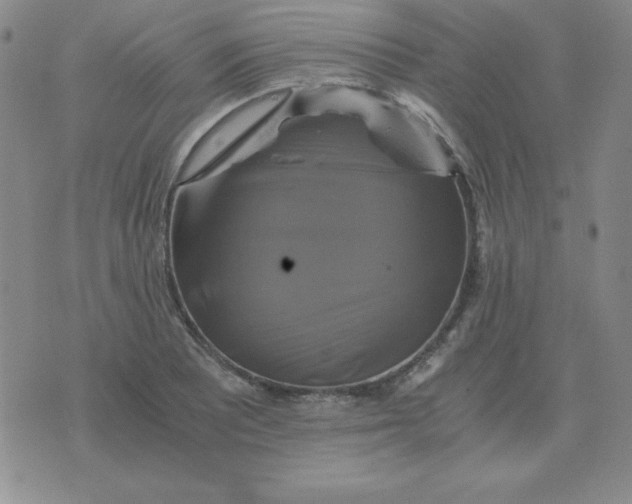 X0000075861081200610061931