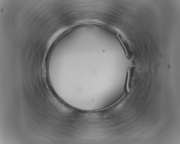 X0000075861082200610061931