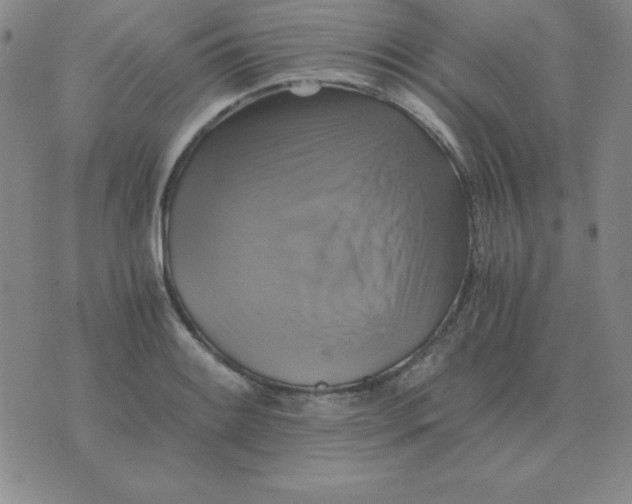 X0000075861084200610061931