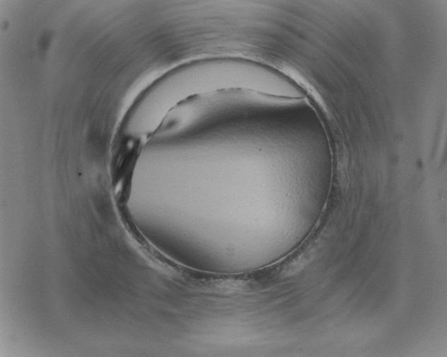 X0000075861085200610061931