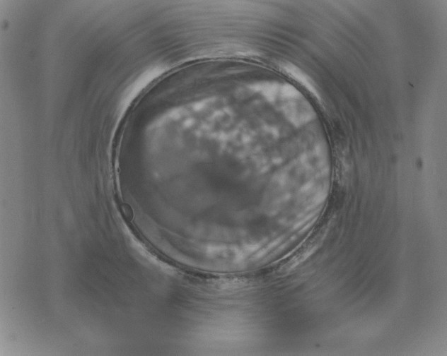 X0000075861087200610061931