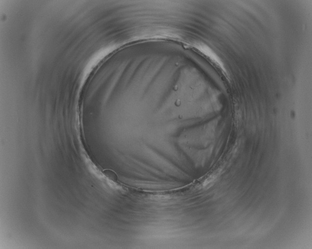 X0000075861088200610061931