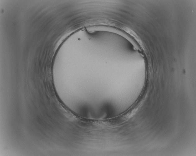 X0000075861089200610061931