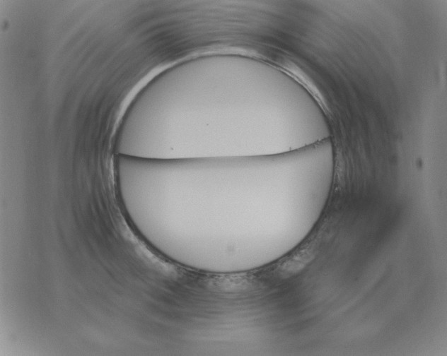 X0000075861092200610061931