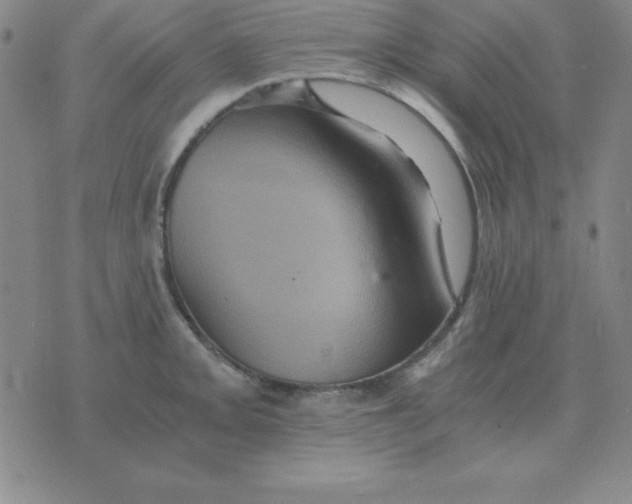 X0000075861093200610061931