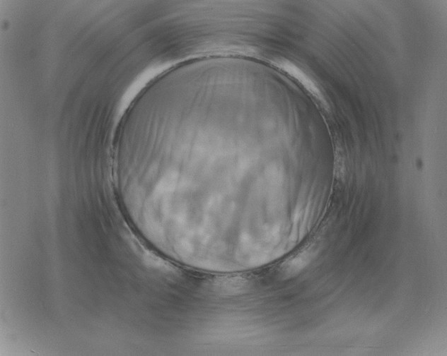 X0000075861094200610061931