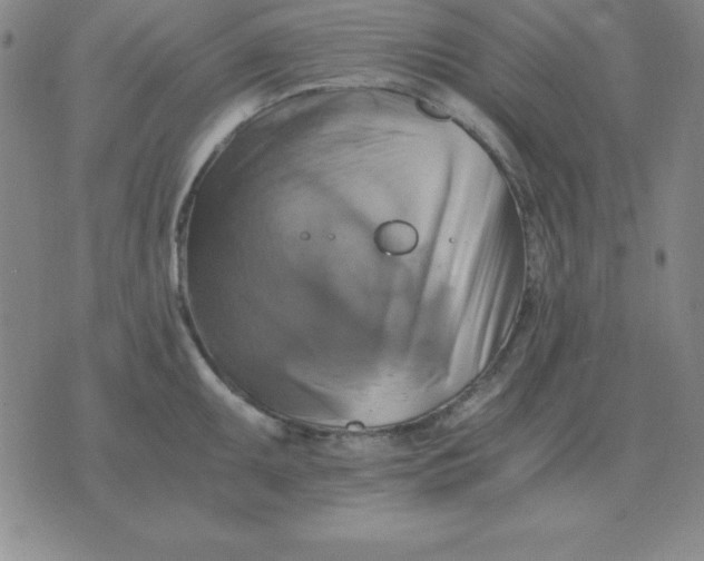 X0000075861095200610061931