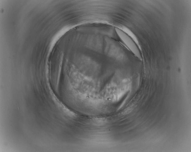 X0000075861096200610061931