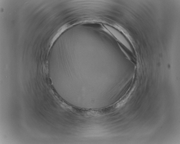 X0000075861097200610061931