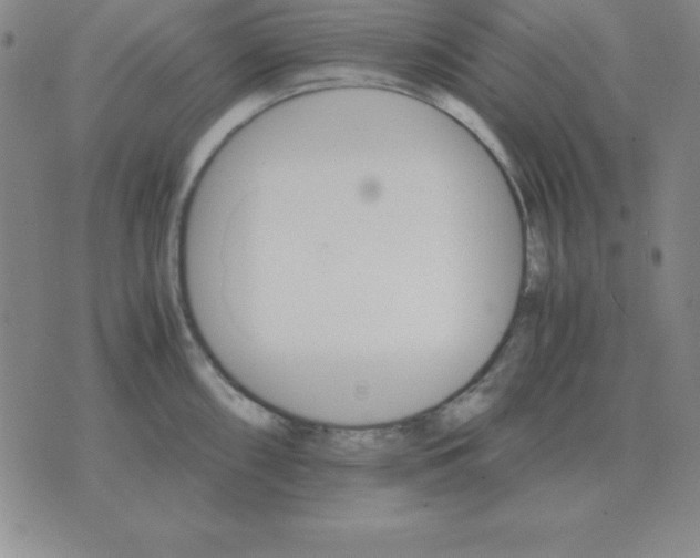 X0000075861098200610061931