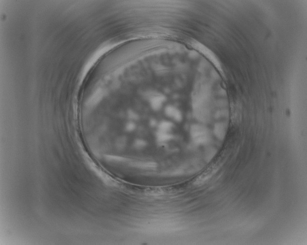 X0000075861099200610061931