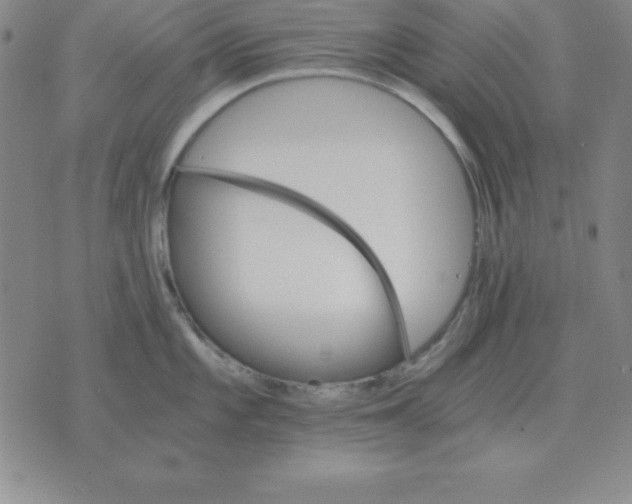 X0000075861101200610061931