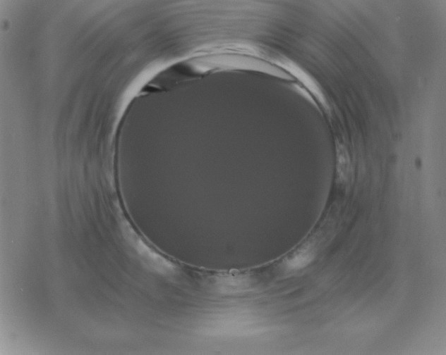 X0000075861102200610061931