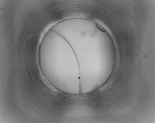 X0000075861104200610061931