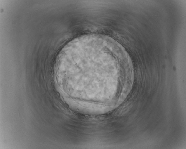 X0000075861105200610061930