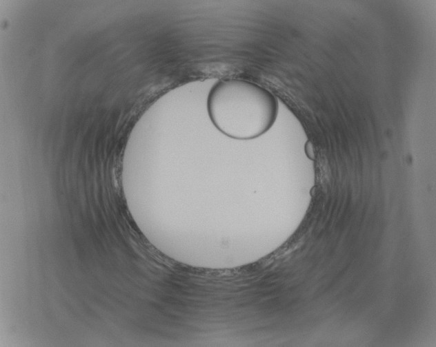 X0000075861106200610061930