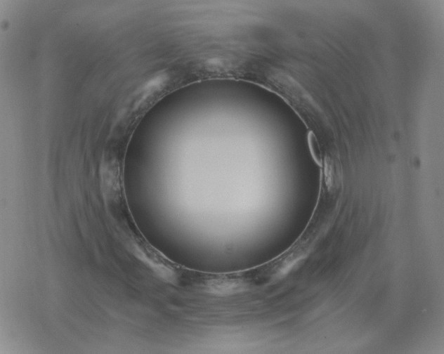 X0000075861107200610061930