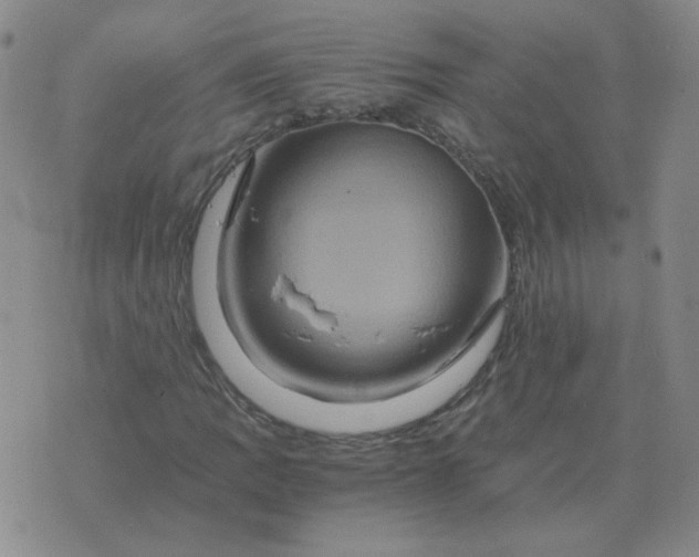 X0000075861109200610061930