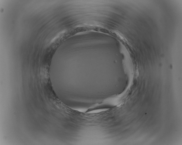 X0000075861110200610061930