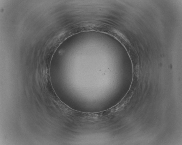 X0000075861111200610061930