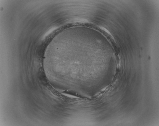 X0000075861112200610061930