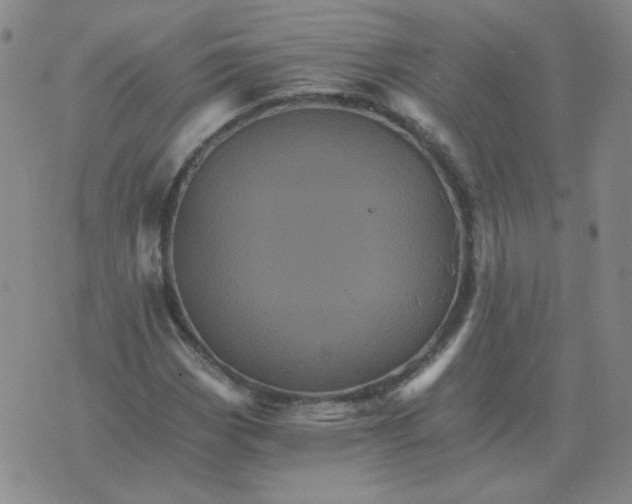 X0000075861113200610061930